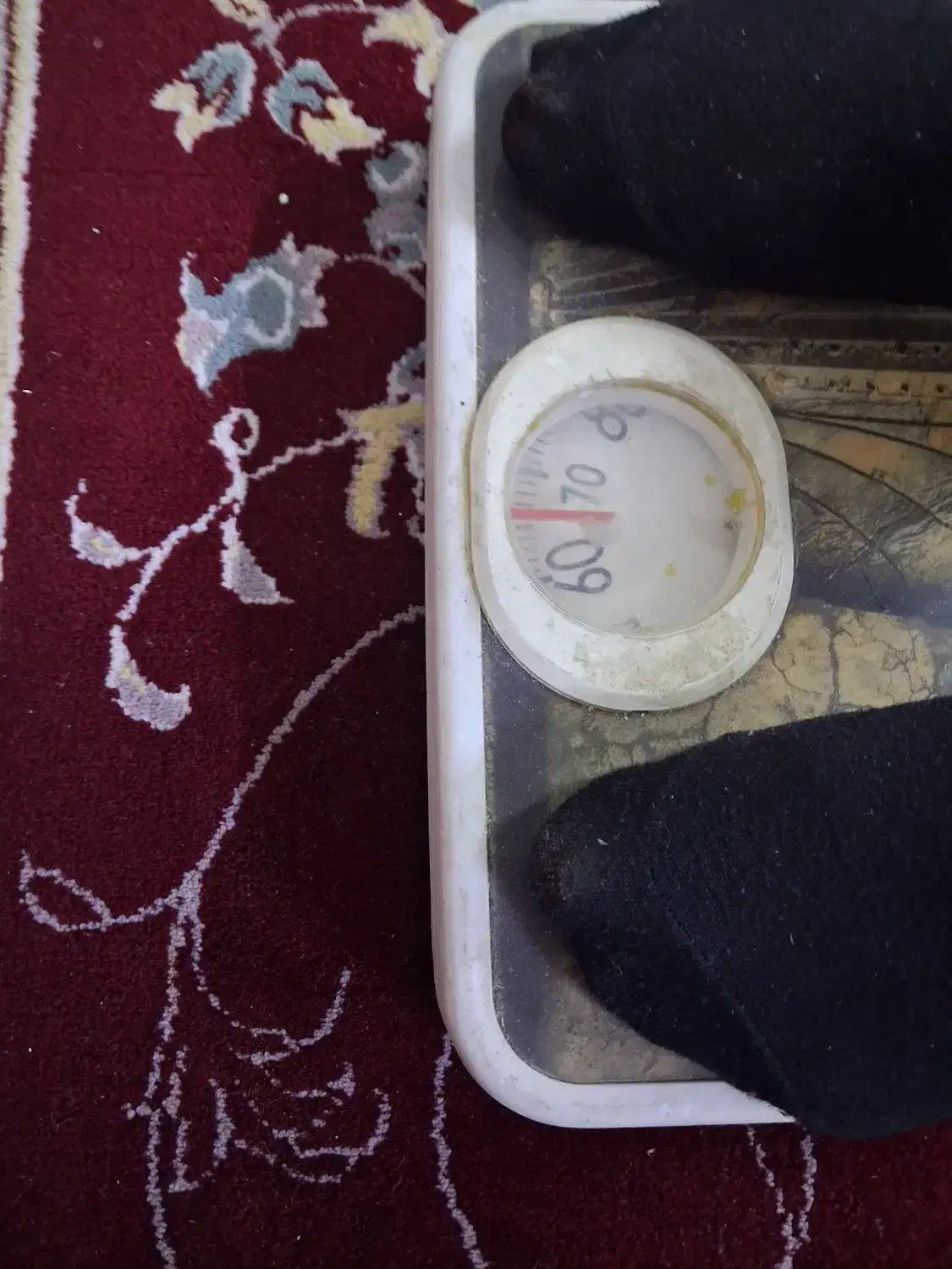 ترازو|تجهیزات ورزشی|ساوه, |دیوار