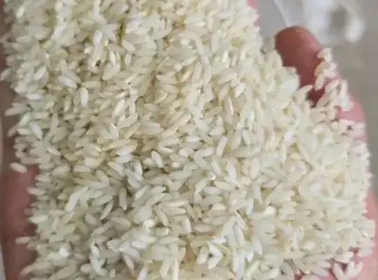 برنج عنبربو|خوردنی و آشامیدنی|شوشتر, |دیوار