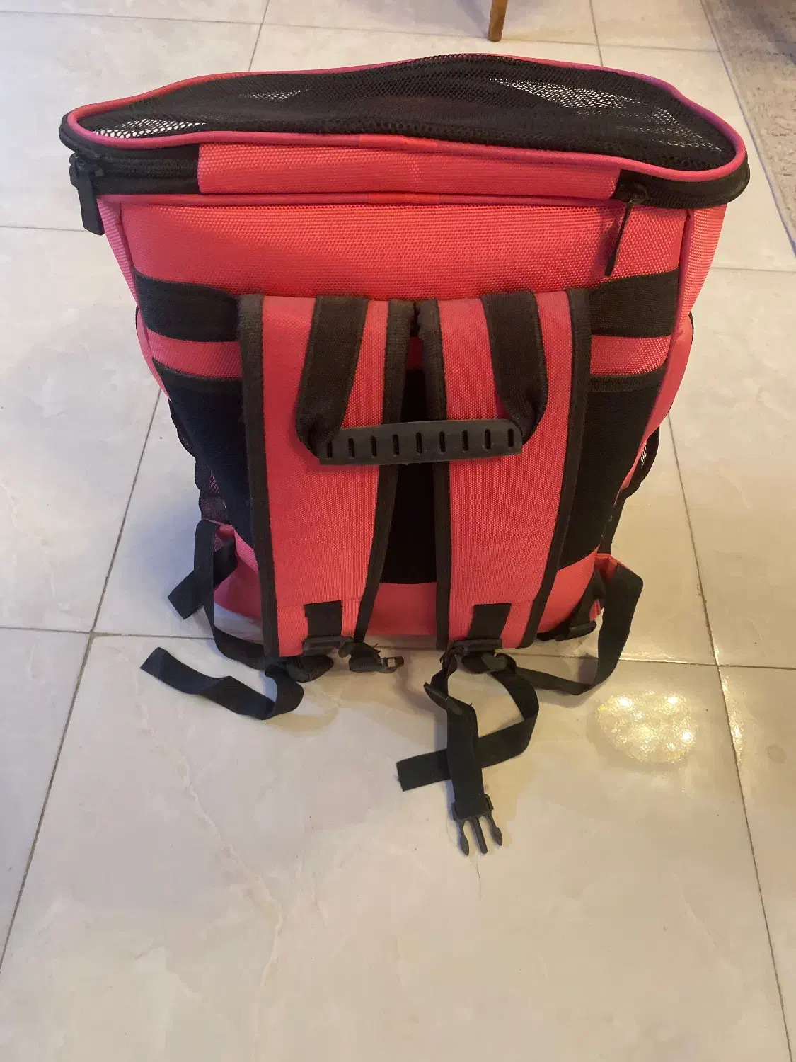 تخت و کوله حمل سگ و گربه|لوازم جانبی حیوانات|مشهد, سجاد شهر|دیوار