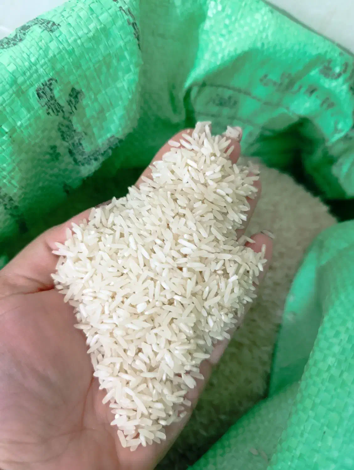 برنج چمپا و برنج طارم|خوردنی و آشامیدنی|رامهرمز, |دیوار