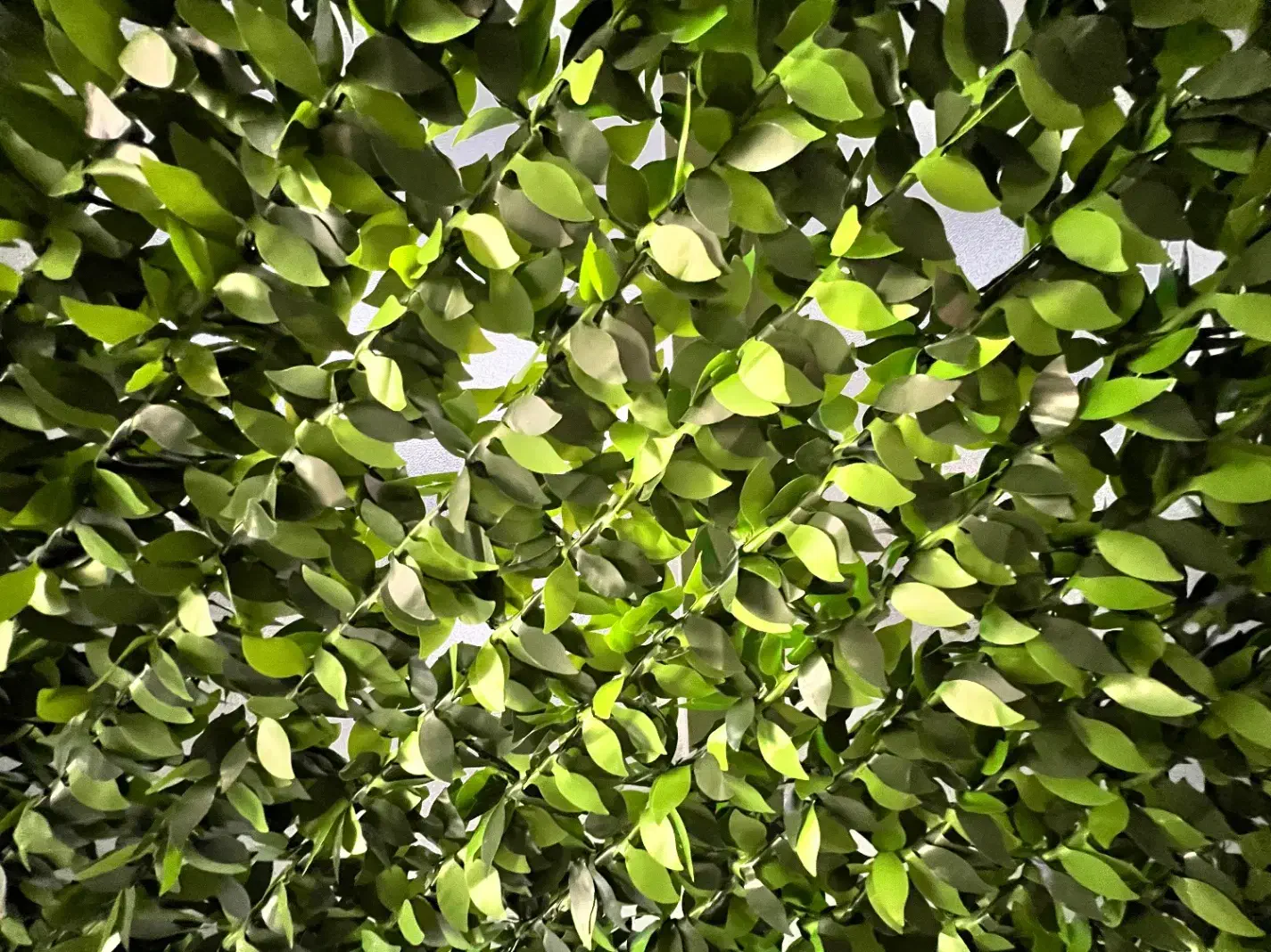 دیوار پوش سبزه مصنوعی، گل مصنوعی،سبزه|گل مصنوعی|یزد, |دیوار
