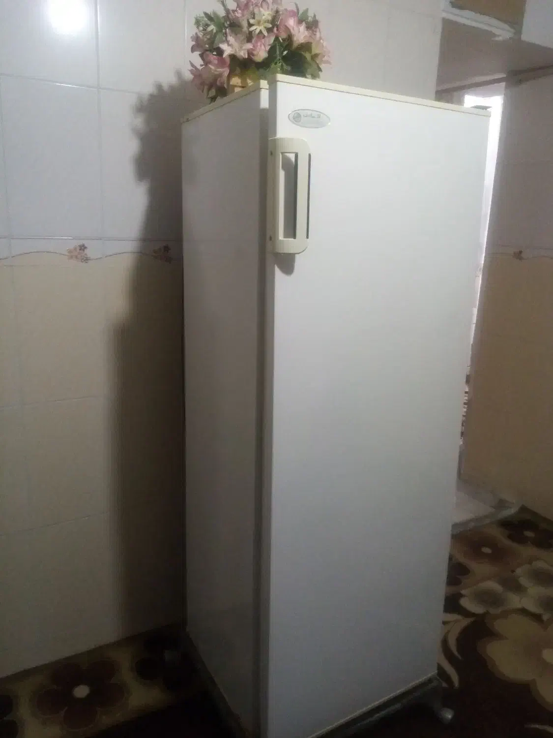 یخچال|یخچال و فریزر|نیریز, |دیوار