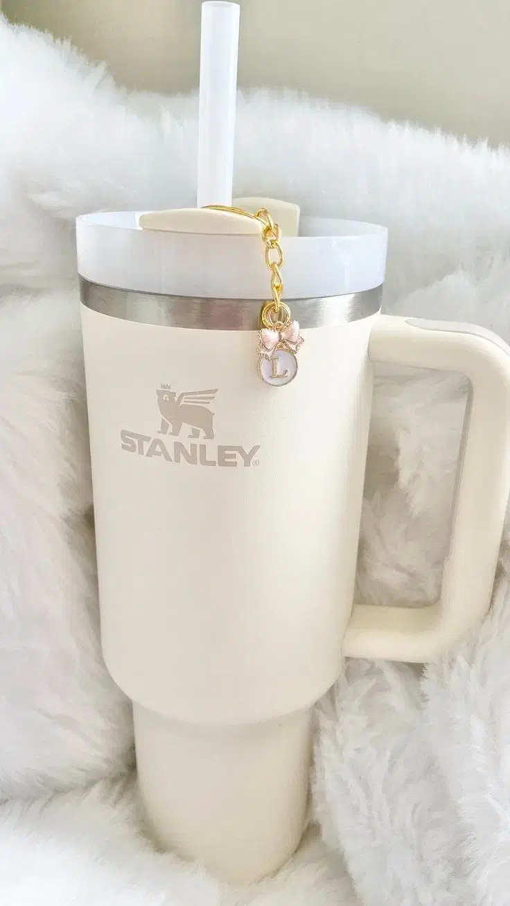 تامبلر استنلی|ظروف نگهدارنده، پلاستیکی، یکبارمصرف|بوشهر, |دیوار