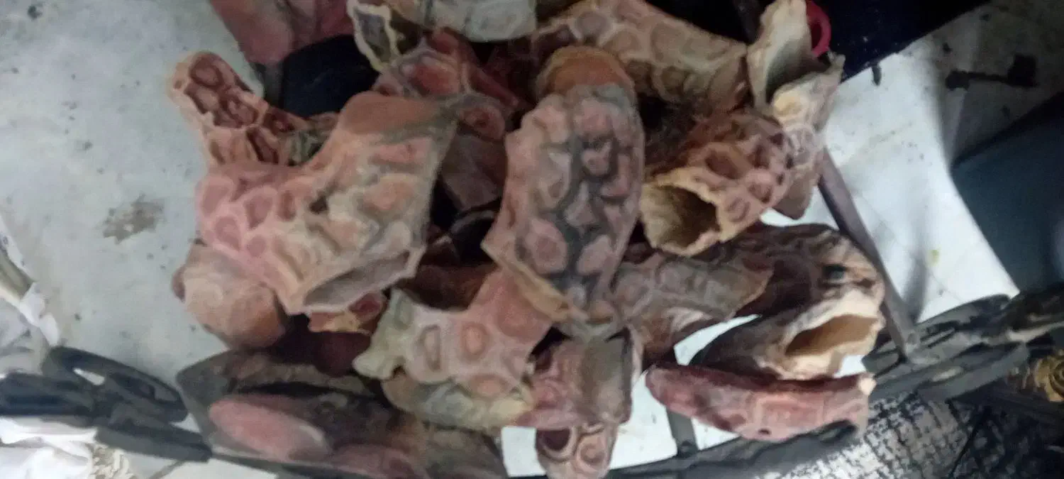 منقل و هیزم نسوز شومینه|بخاری، هیتر، شومینه|کرج, حصارک پایین|دیوار