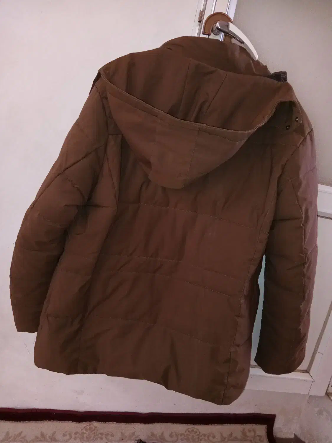 کاپشن|لباس|زنجان, |دیوار