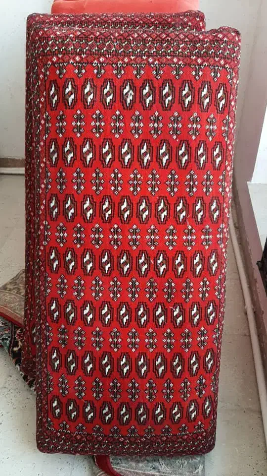 شیش عدد پشتی یک دست|پشتی|شیراز, گل سرخ|دیوار