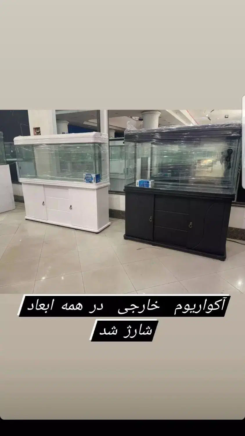 آکواریوم امواج|ماهی|زاهدان, |دیوار