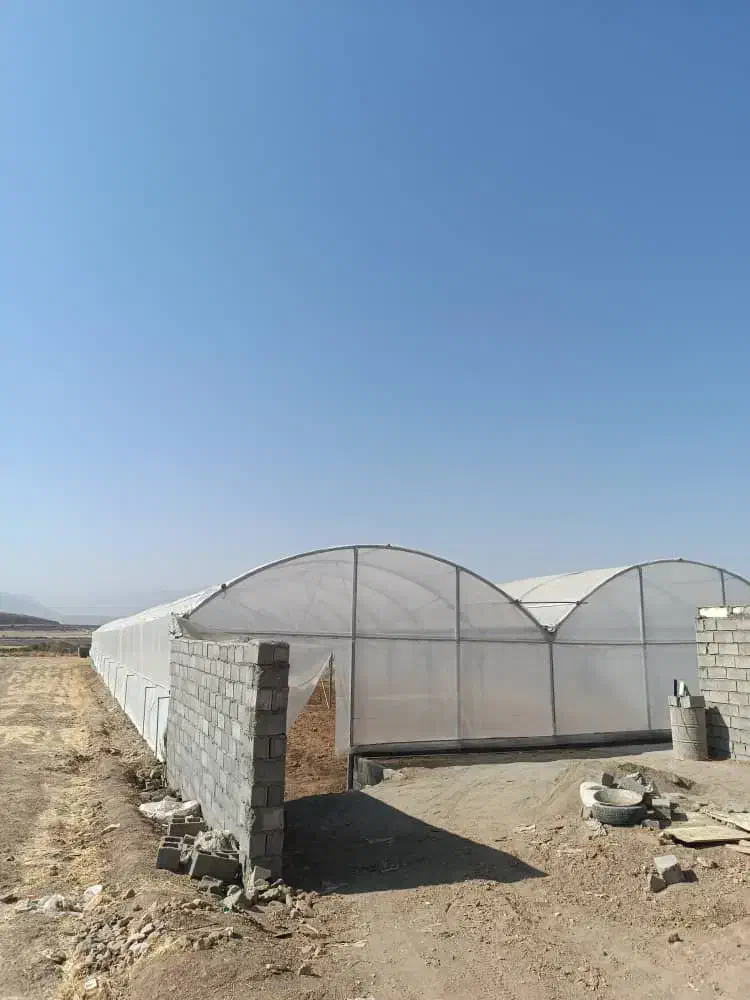 فروش یک واحد گلخانه نیمه صنعتی|فروش زمین و ملک کلنگی|دورود, |دیوار