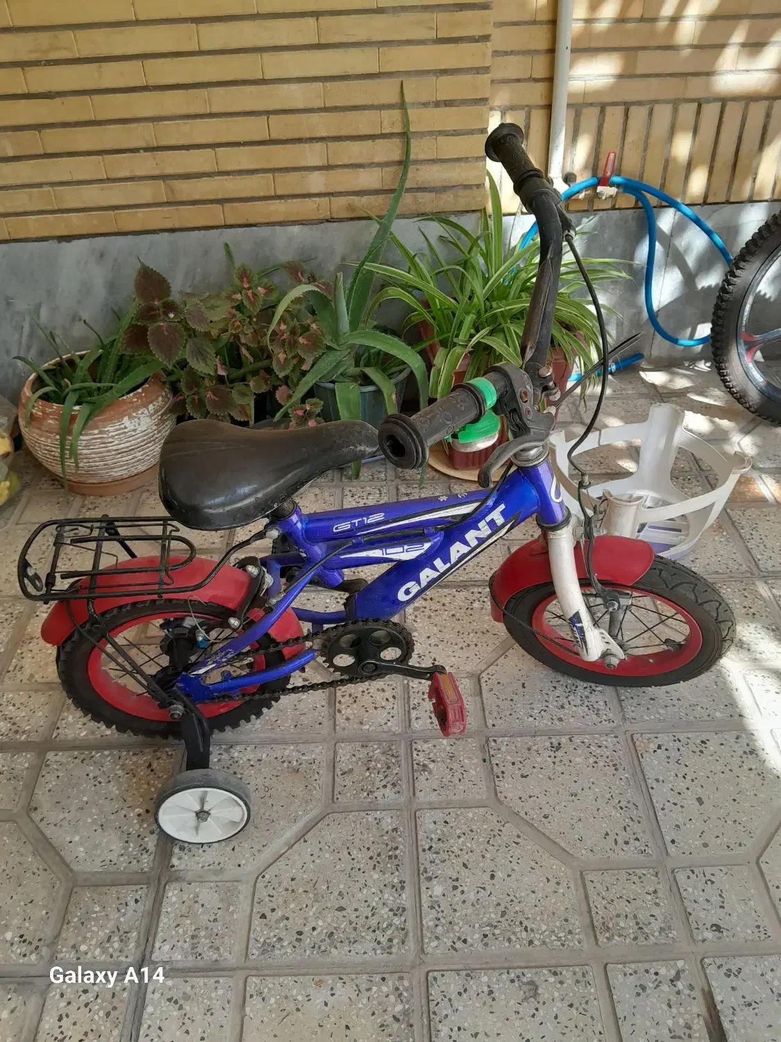 دوچرخه|دوچرخه، اسکیت، اسکوتر|پیر بکران, |دیوار