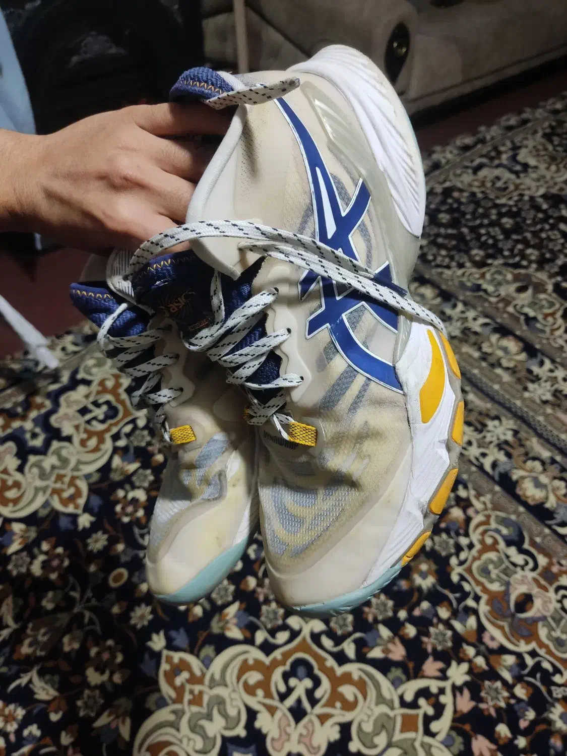 کفش والیبال|کیف، کفش، کمربند|ارومیه, |دیوار