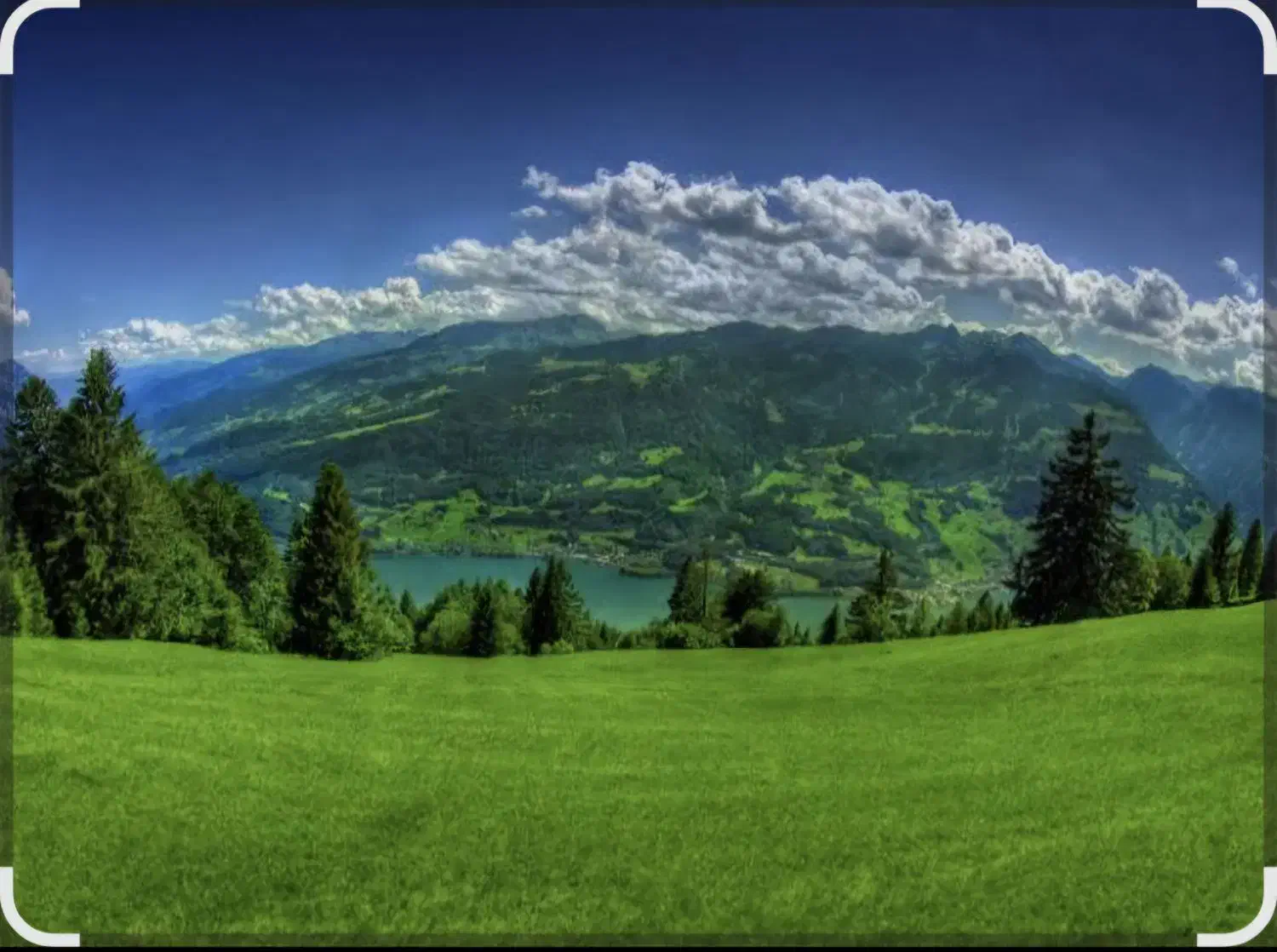 زمین کشاورزی|فروش زمین و ملک کلنگی|دیواندره, |دیوار