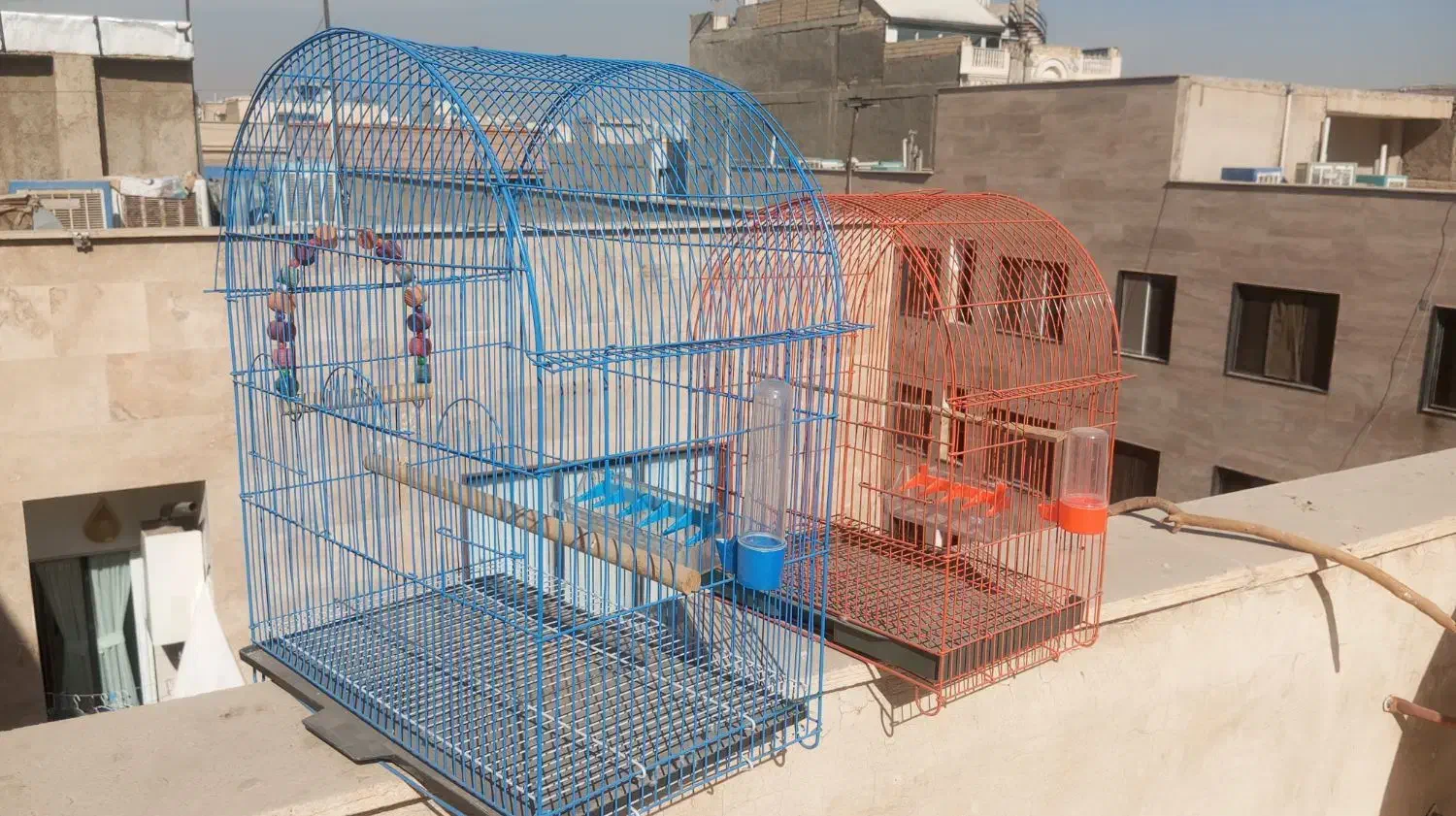 قفس پرنده|لوازم جانبی حیوانات|اندیشه, اندیشه فاز ۳|دیوار