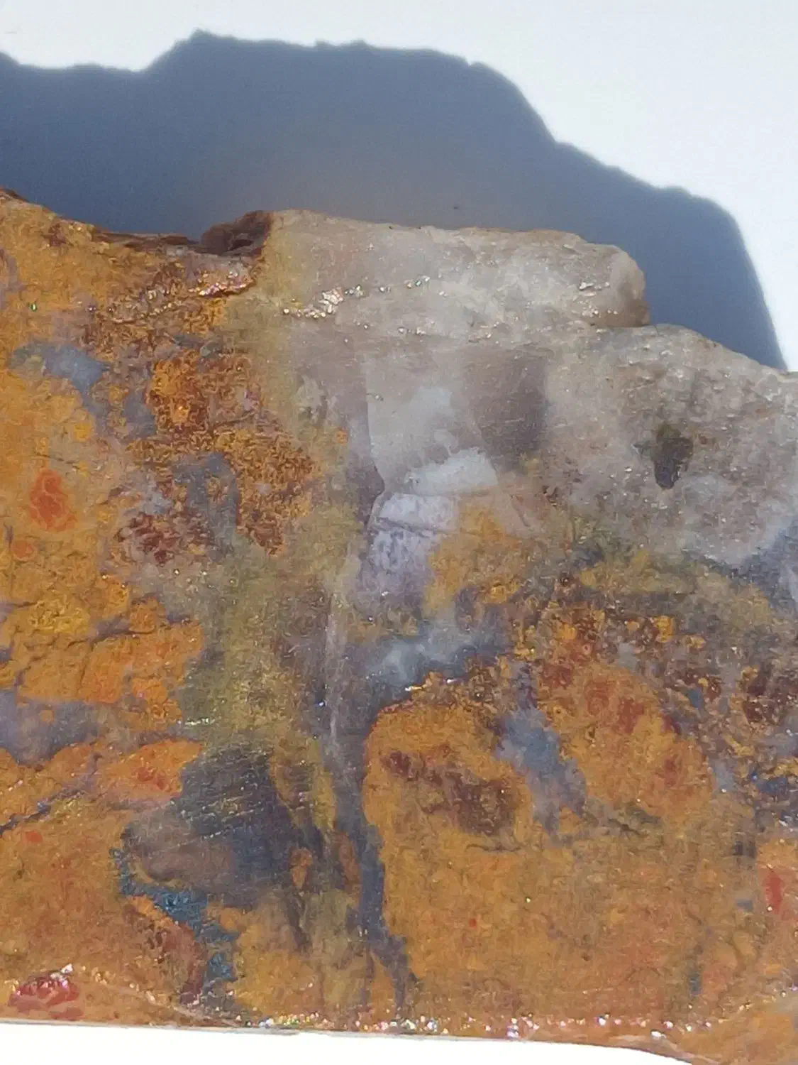 شجر گل اناری|جواهرات|زنجان, |دیوار