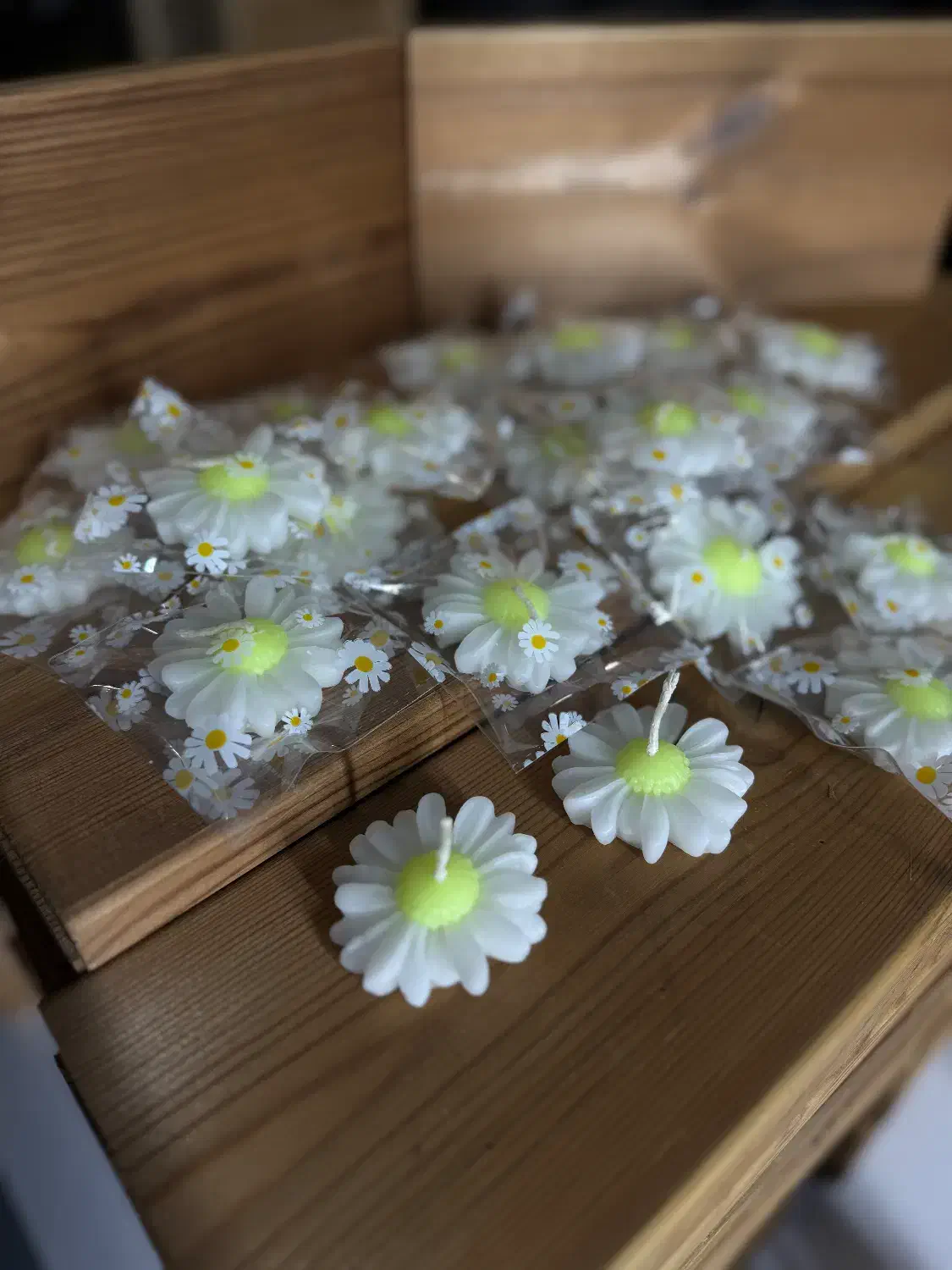 شمع بابونه یا مارگریت|صنایع دستی و سایر لوازم تزئینی|هشتگرد, هشتگرد قدیم|دیوار