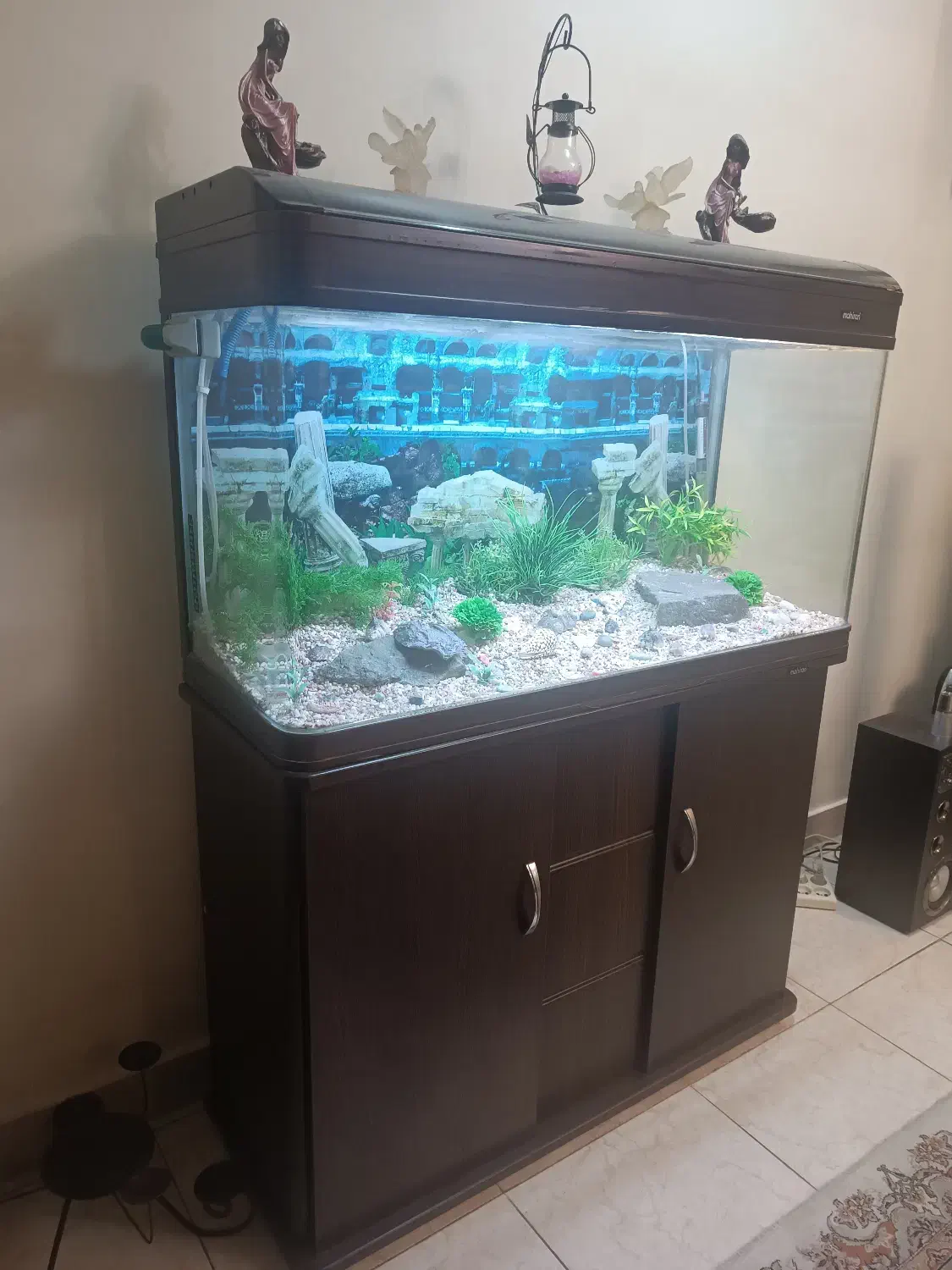 آکواریوم شیشه‌خم‌ ماهیران سری‌خارجی باهمه لوازم|ماهی|کرج, گلشهر|دیوار