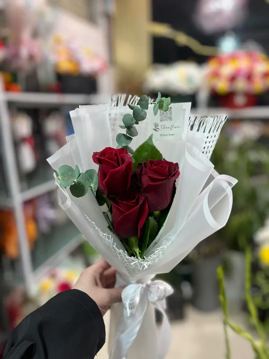 گل های طبیعی و مصنوعی|گل و گیاه طبیعی|کرمانشاه, |دیوار