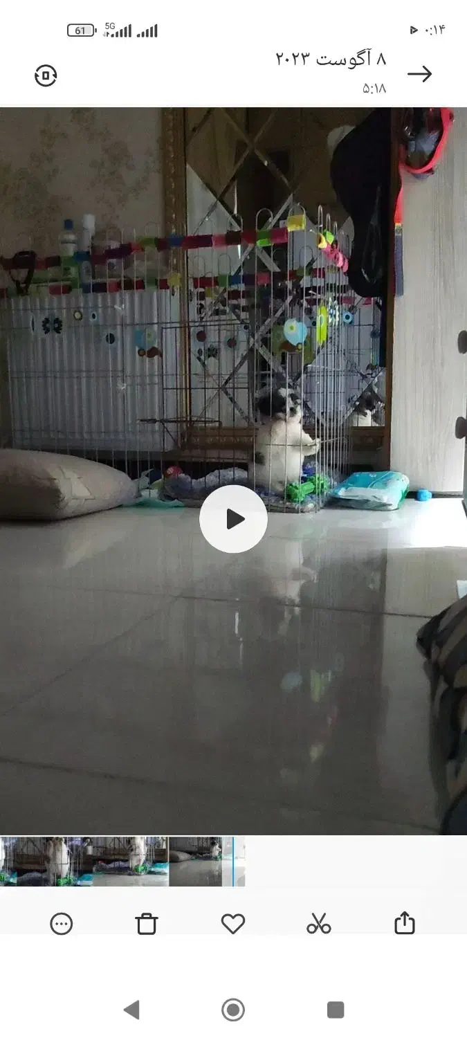 پارک سگه هشت تیکه و سینی دسشویی سگ|لوازم جانبی حیوانات|قرچک, شهرک طلائیه|دیوار