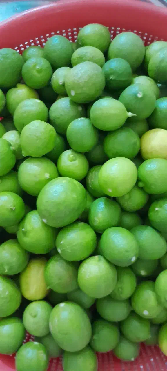 آبلیمو ،رب گوجه، سبزی ،هل ،زعفرون|خوردنی و آشامیدنی|اهواز, زیتون کارمندی|دیوار