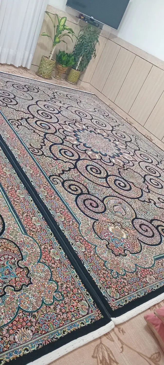 دو تخته فرش (میترا) درحدنو ۱۰۰۰ شانه ۹ متری|فرش|سقز, |دیوار