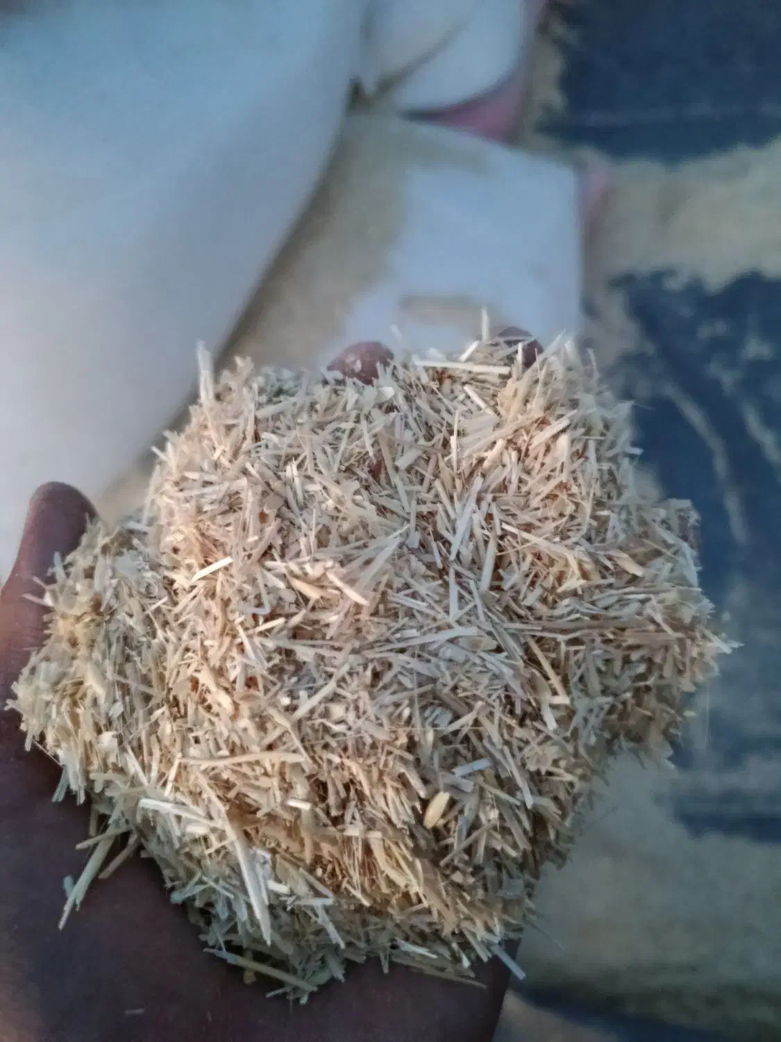 کاه گندم مختاران|لوازم جانبی حیوانات|بیرجند, |دیوار