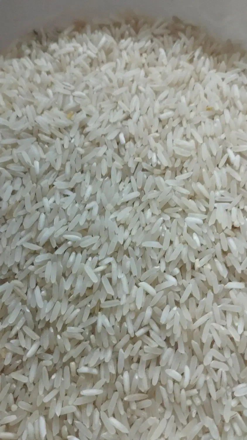 فروش عمده برنج بشرط پخت زیر قیمت|خوردنی و آشامیدنی|محمدیه-قزوین, |دیوار