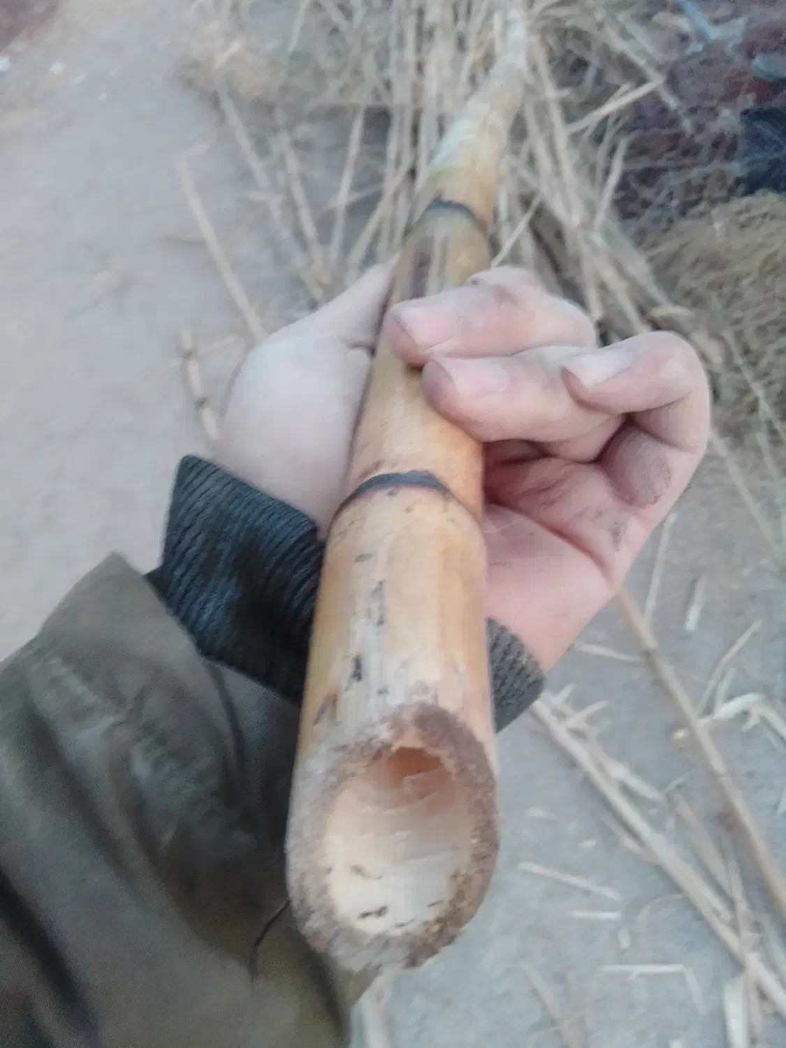 نی خیزران بامبو|ماهیگیری|ورامین, ورامین|دیوار