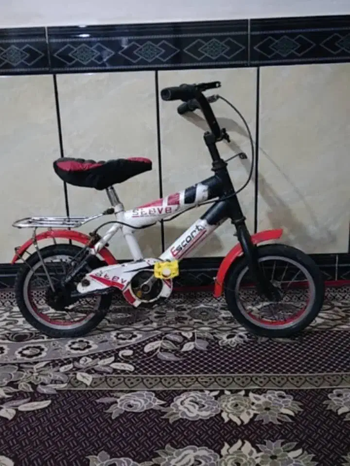 دو عدد دوچرخه 20و12|دوچرخه، اسکیت، اسکوتر|بندر ماهشهر, |دیوار