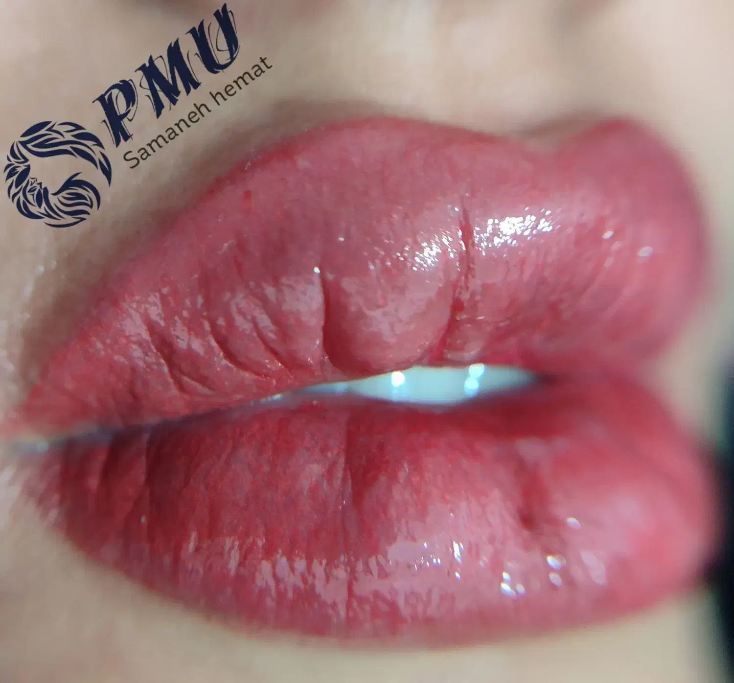 تخفیفات ویژه خدمات آرایش دائم با مواد اورجینال|خدمات آرایشگری و زیبایی|شیراز, شاهچراغ|دیوار