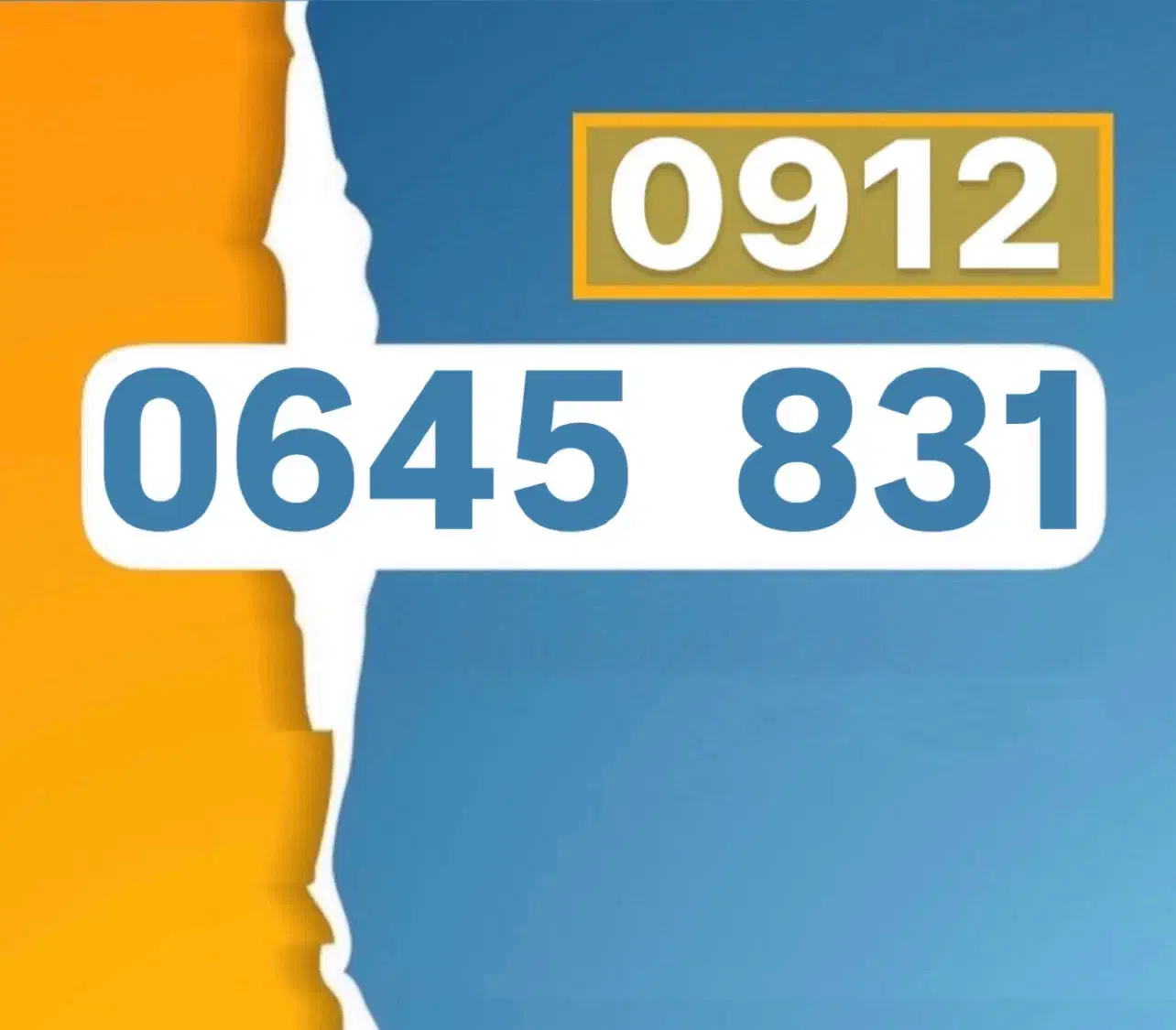 0912-0645-831|سیم‌کارت|تهران, طیب|دیوار