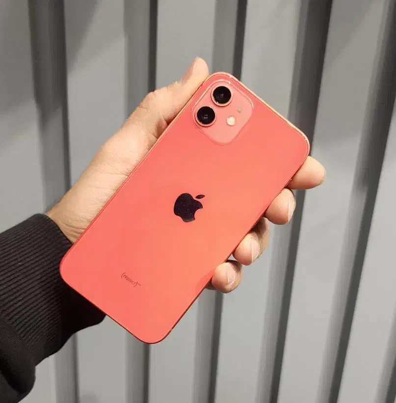 گوشی آیفون ۱۲ نرمال|موبایل|یزد, |دیوار