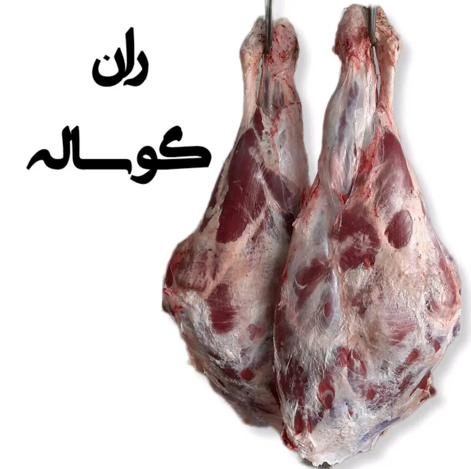 فروش کلی و جزئی گوشت قرمز دامی گوسفند و گوساله|خوردنی و آشامیدنی|مشهد, مقدم|دیوار