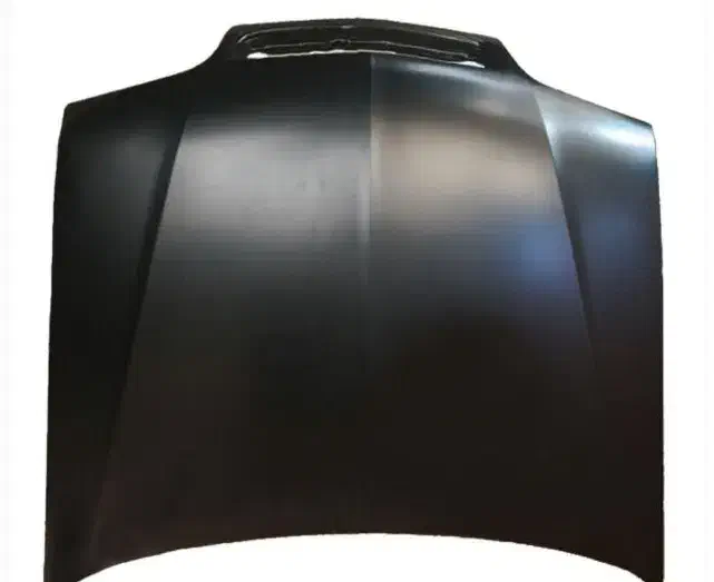 کاپوت زانتیا خام ، رنگی|قطعات یدکی و لوازم جانبی|اصفهان, بهارستان|دیوار