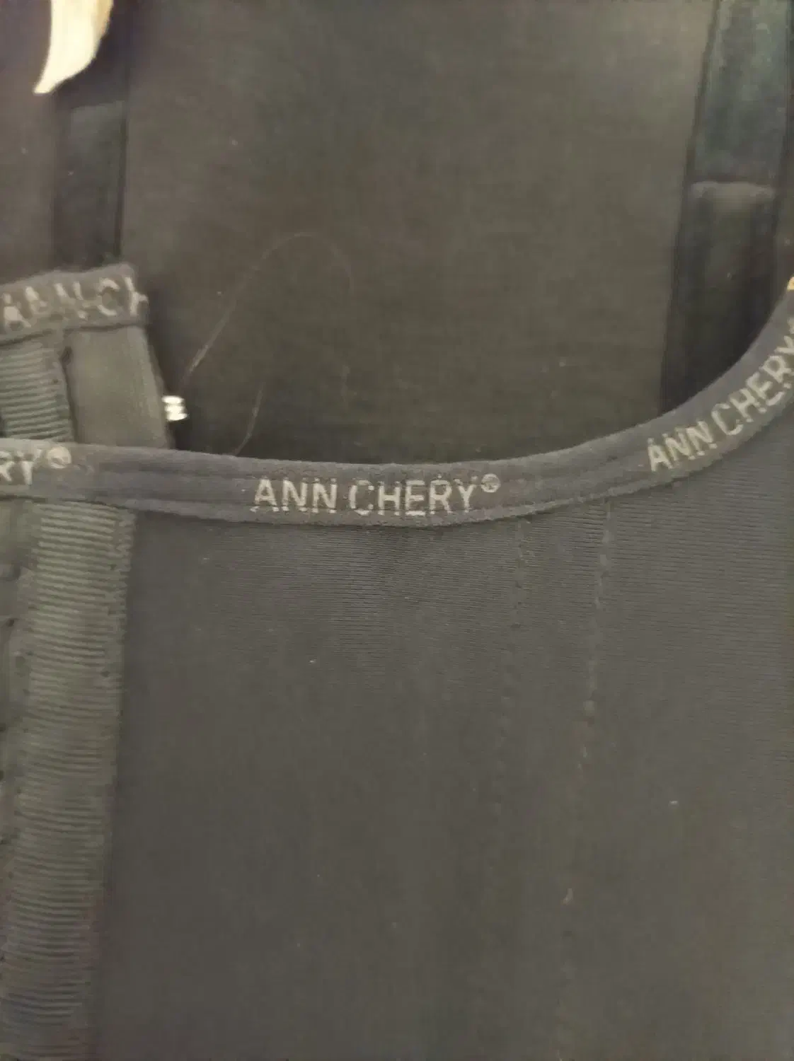 گن ساعت شنی مارک چری|لباس|پاکدشت, پاکدشت (مامازند)|دیوار