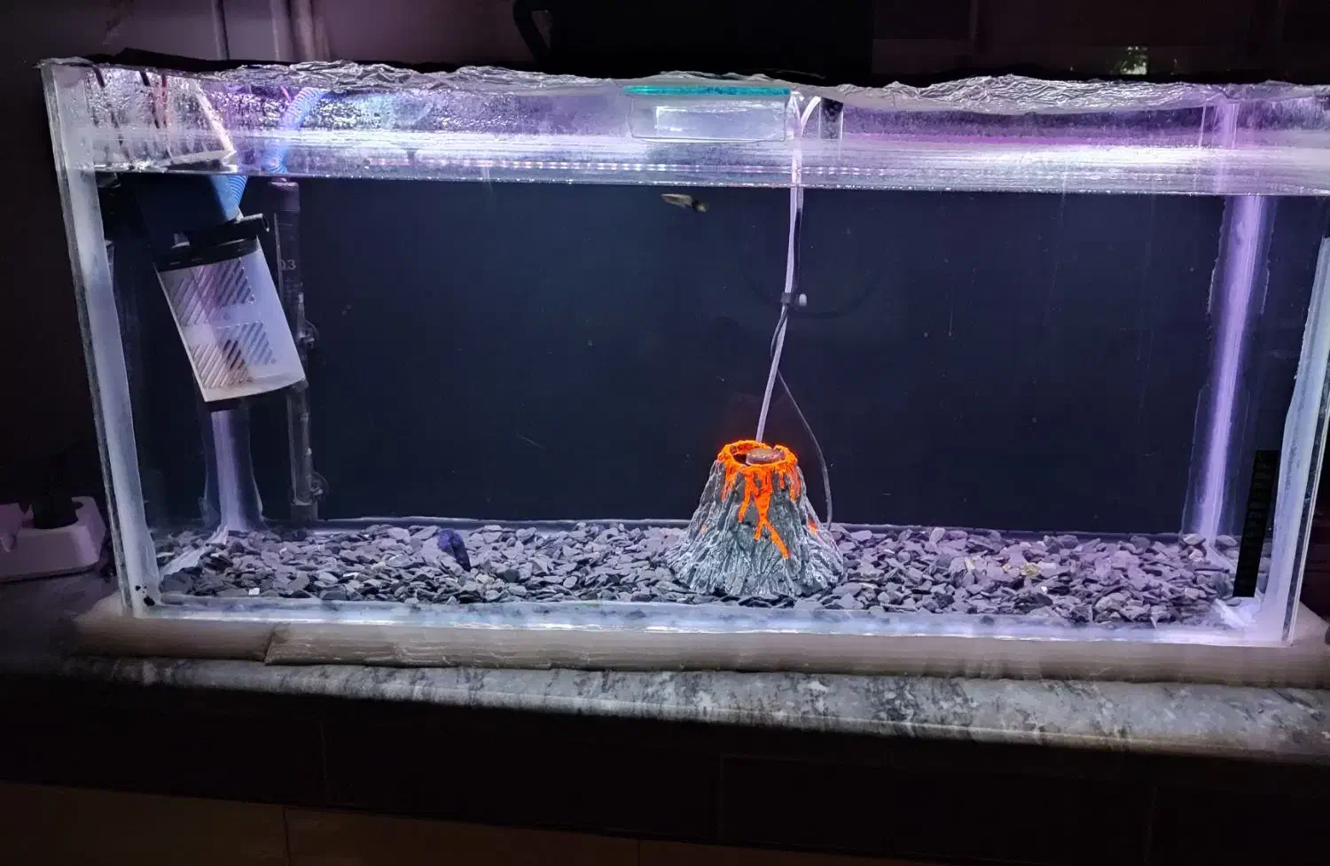 فروش اکواریوم و یا معاوضه|ماهی|میاندوآب, |دیوار