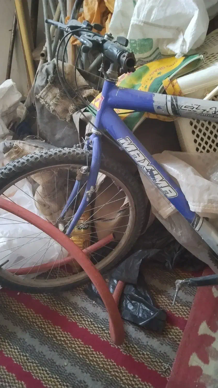 دوچرخه|دوچرخه، اسکیت، اسکوتر|تربتحیدریه, مظفریه|دیوار