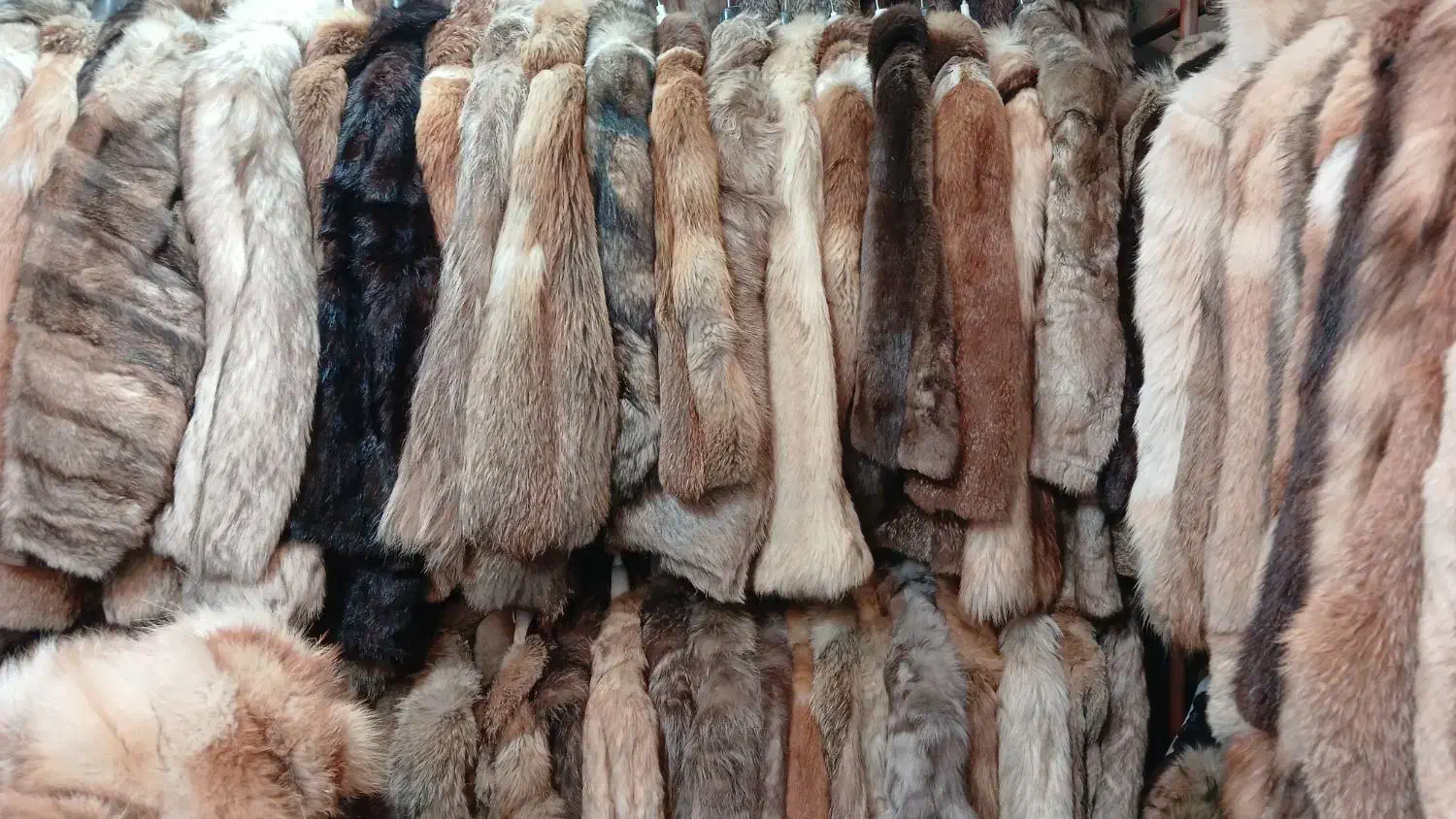 فروشنده پوشاک تایم صبح.|استخدام بازاریابی و فروش|شاهین‌شهر, چمران|دیوار