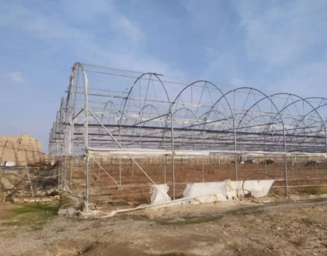 اجاره گلخونه100000|اجارهٔ دفتر صنعتی، کشاورزی، تجاری|تیمور آباد, |دیوار