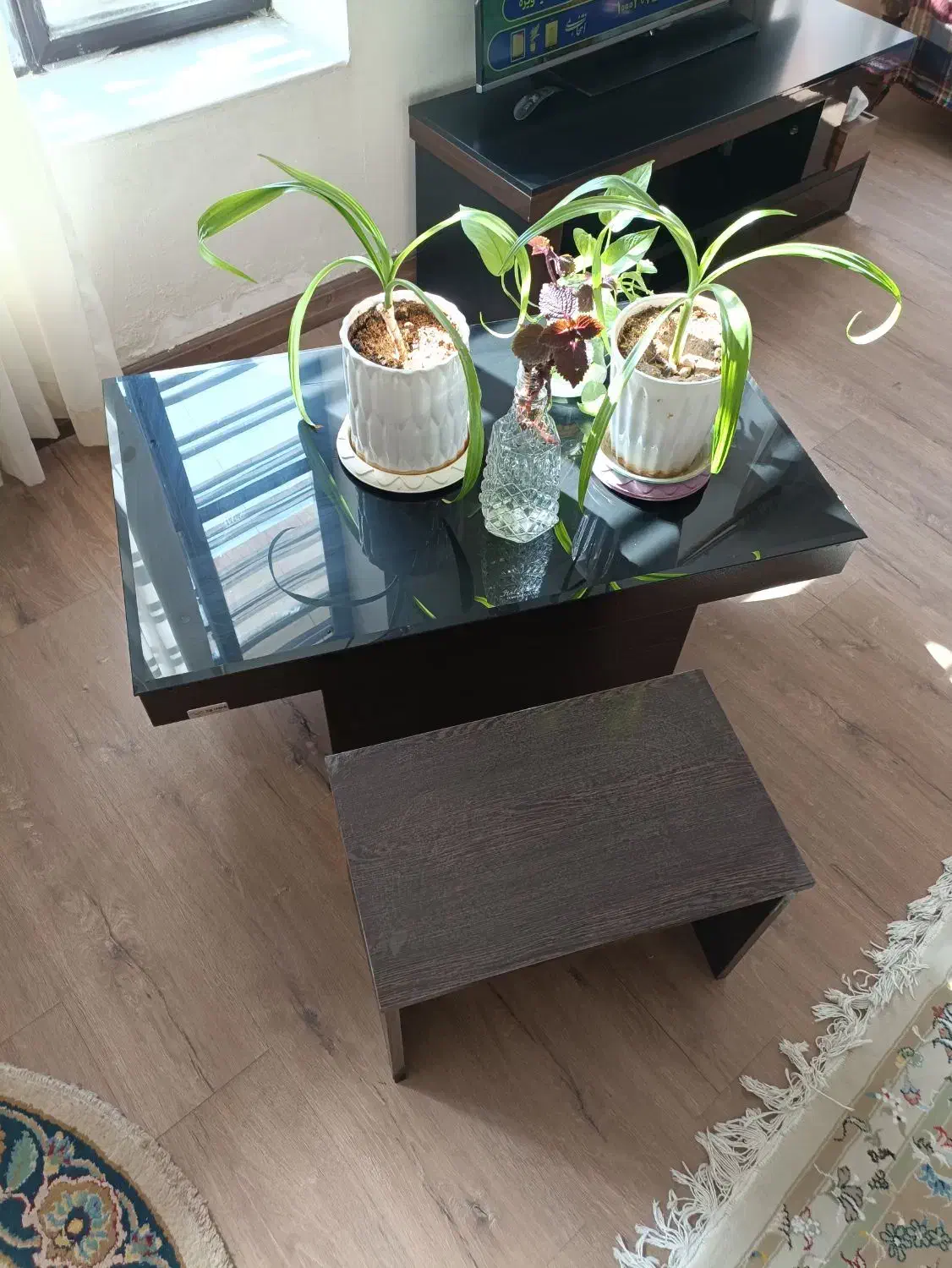 میز|میز و صندلی غذاخوری|شیراز, پودنک|دیوار