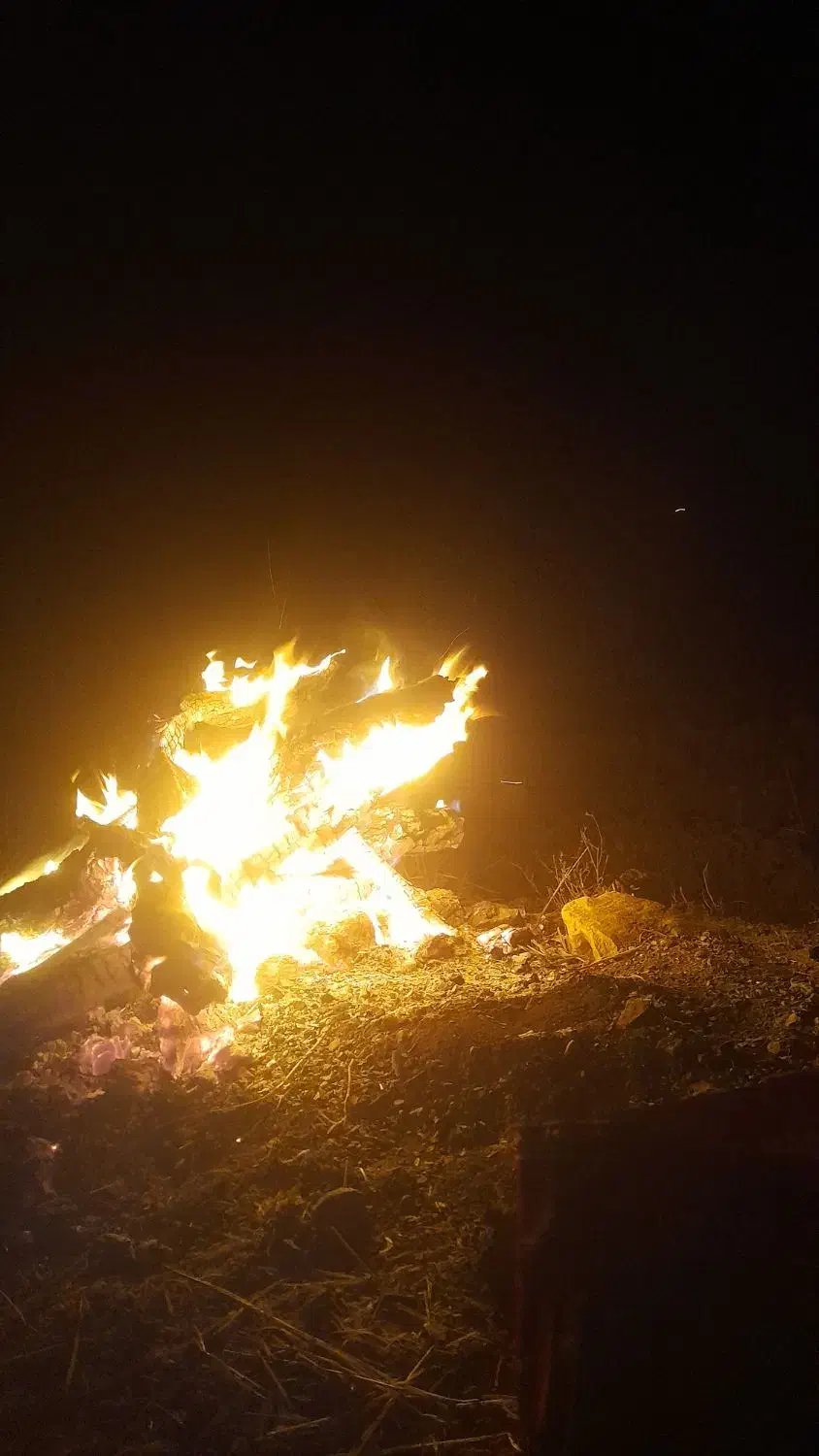 زغال  درجه  یک  موجود|عمدهفروشی|کوهدشت, |دیوار