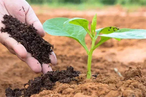 جذب نیروی بازاریاب|استخدام بازاریابی و فروش|اصفهان, شاهزاده ابراهیم|دیوار