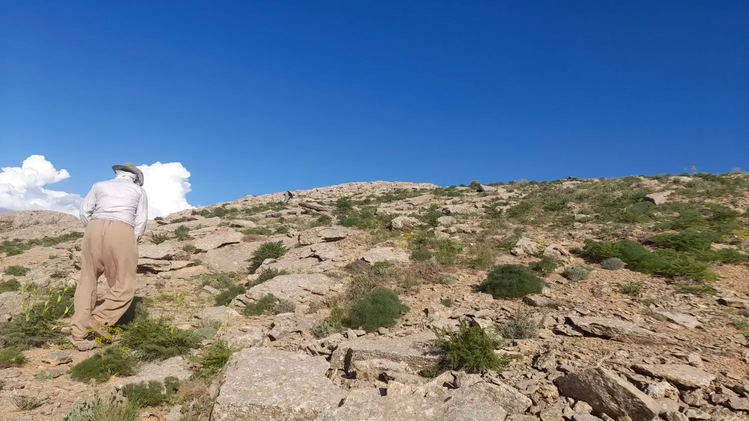 راهنمایی|فعالیت داوطلبانه|سنندج, |دیوار