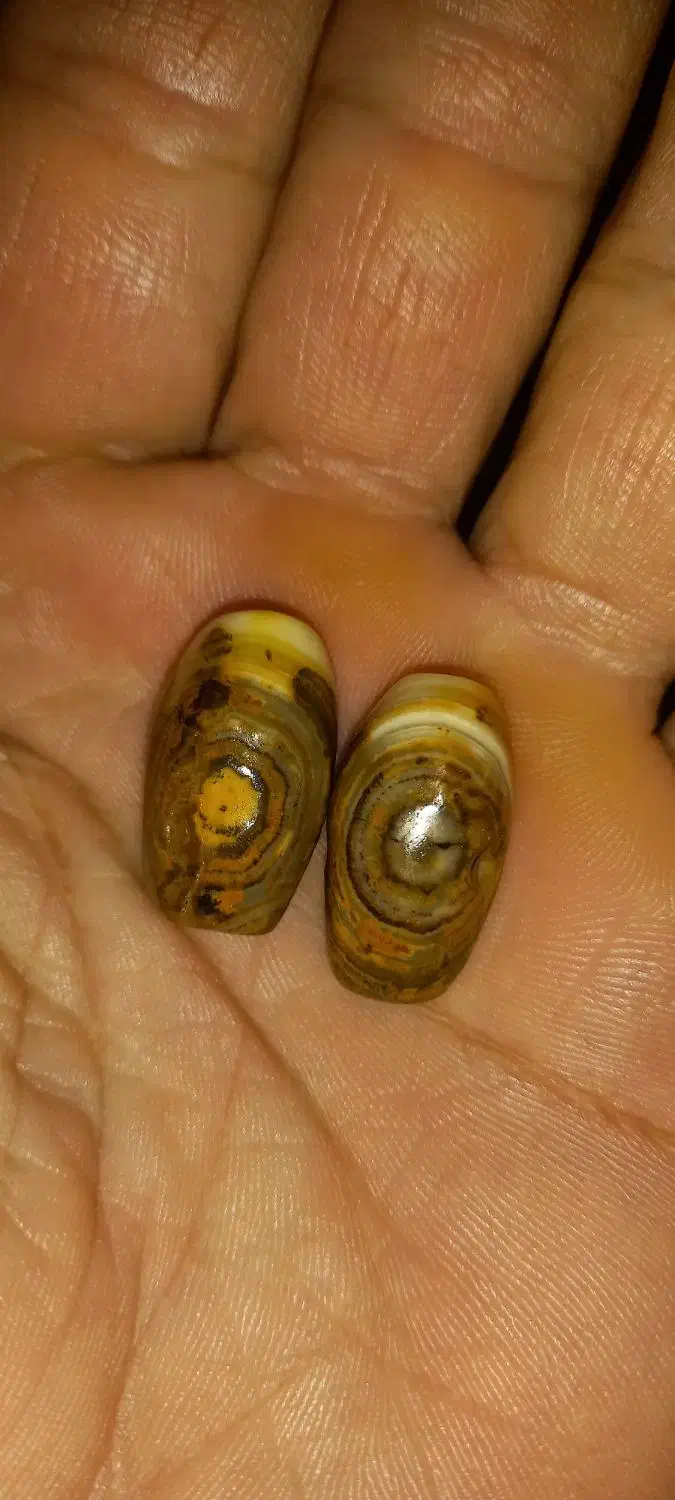 مهره سلطانی جفت|جواهرات|اهواز, منبع اب|دیوار