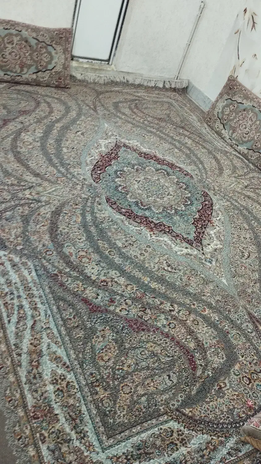 فرش|فرش|مشهد, طبرسی شمالی|دیوار