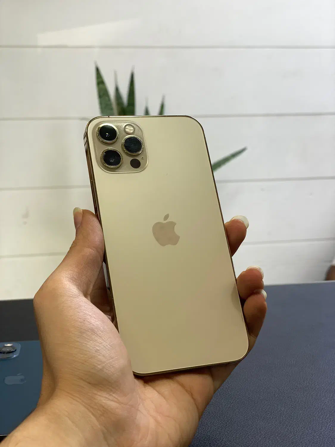 آیفون ۱۳ پرو با حافظه ۲۵۶ گیگ ZAA|موبایل|گرگان, |دیوار