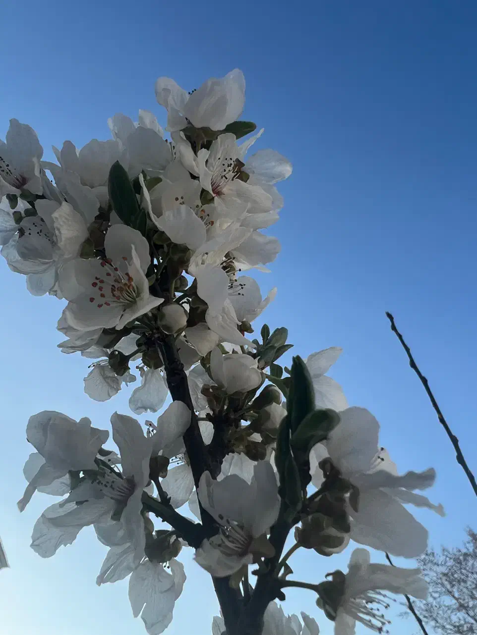 استخدام فروشنده خانم|استخدام بازاریابی و فروش|رباط‌کریم, رباط‌کریم|دیوار