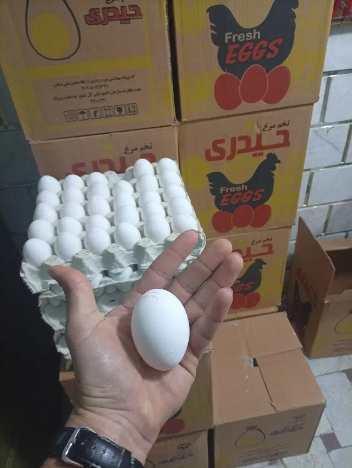 فروش تخم مرغ کارتونی 1/28شانه ای 225|عمدهفروشی|هشتگرد, شهرک ولیعصر (مصلی)|دیوار