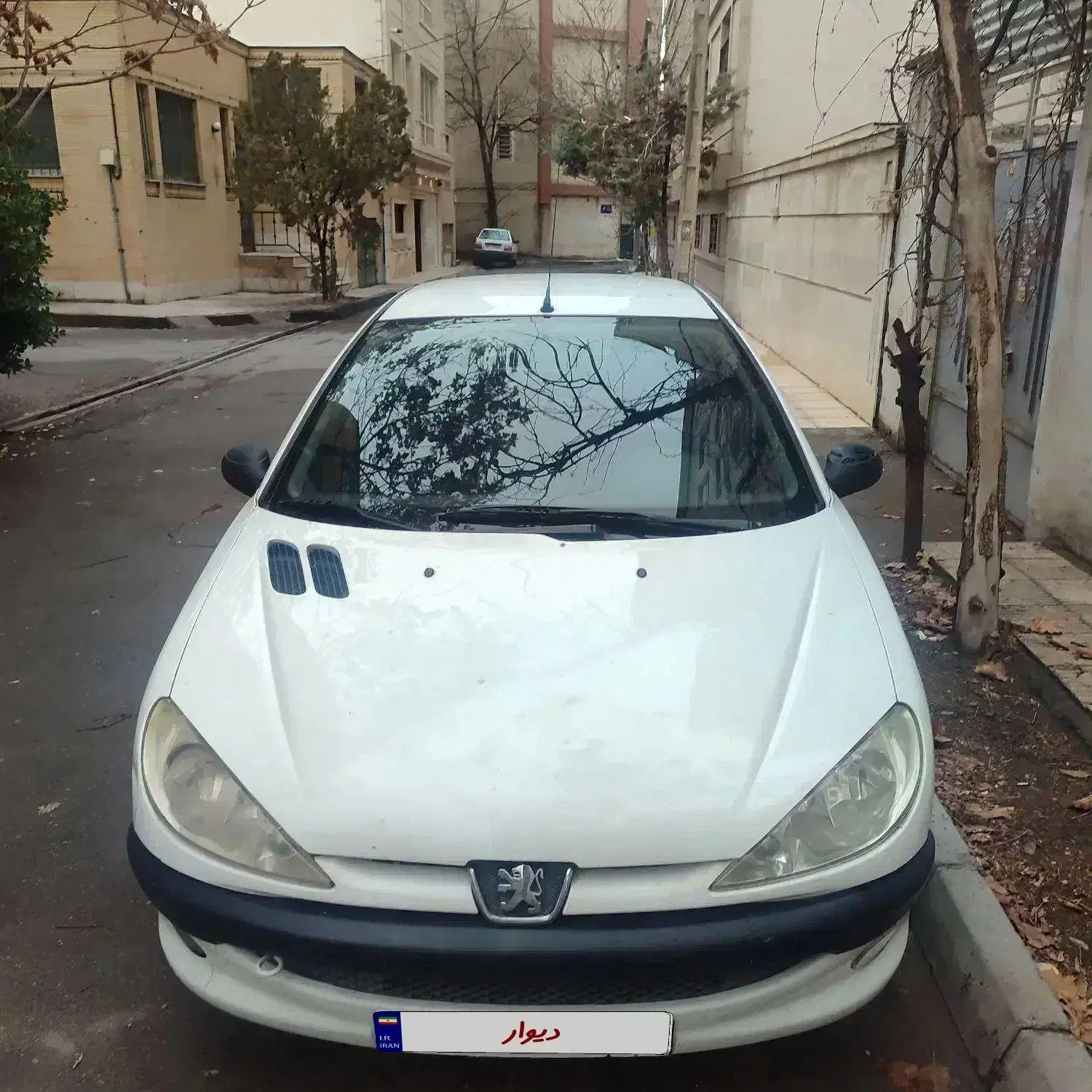 پژو 206 مدل97|خودرو سواری و وانت|مشهد, فارغ التحصیلان|دیوار