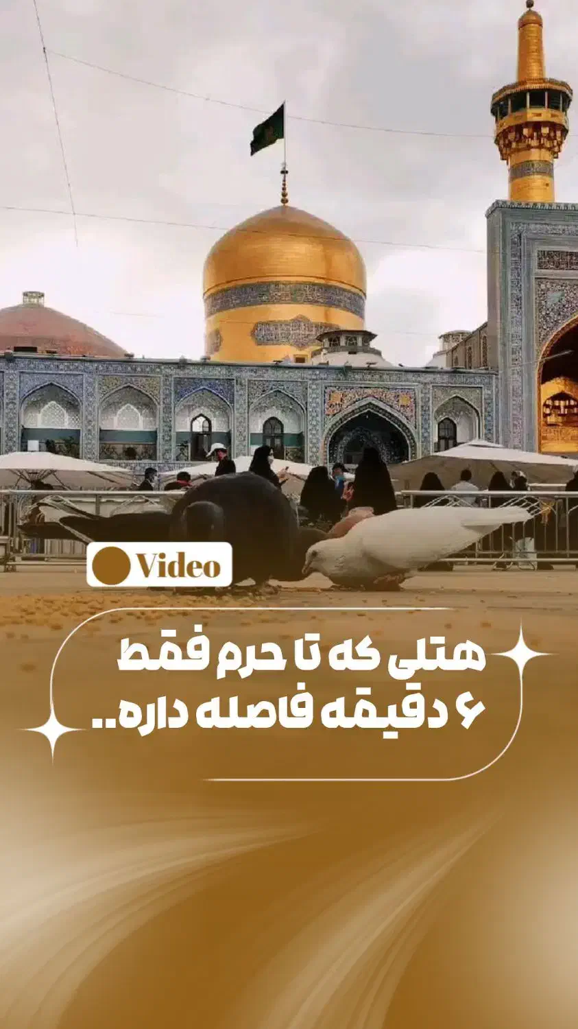 ادمین حضوری و غیر حضوری اینستاگرام هستم|خدمات رایانه‌ای و موبایل|مشهد, هفت تیر (حافظ)|دیوار