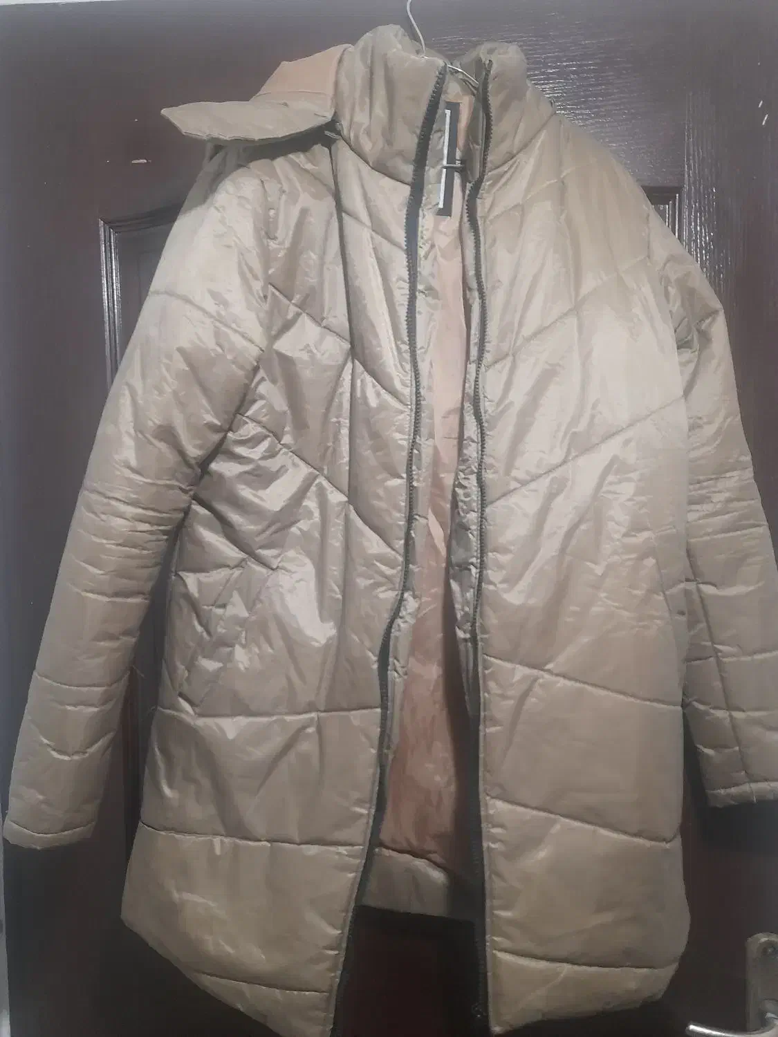 یک عدد کاپشن مردانه و یک عددهودی نونو|لباس|رشت, نظری|دیوار