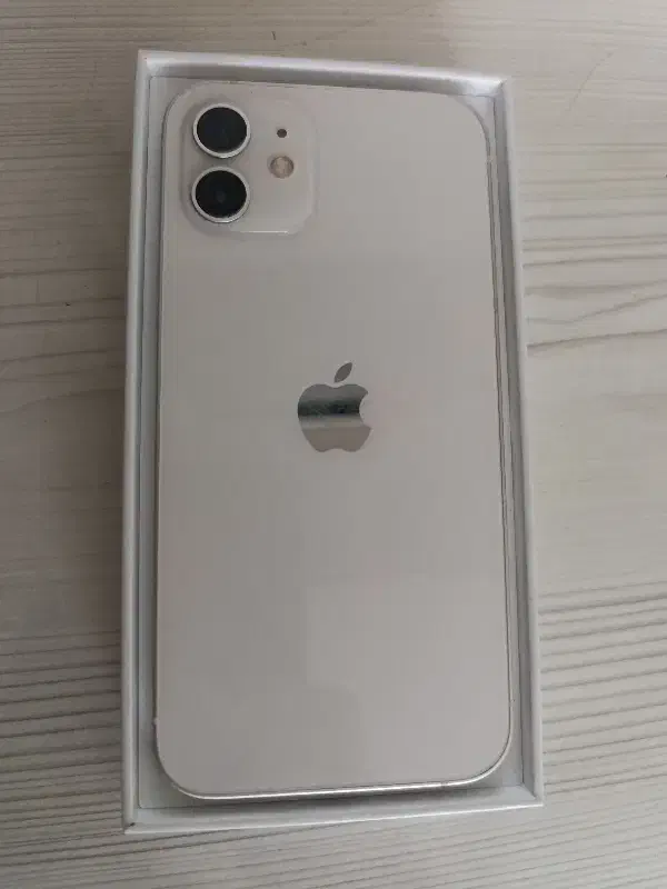 iphone 12 normal|موبایل|نیشابور, گنبد سبز|دیوار